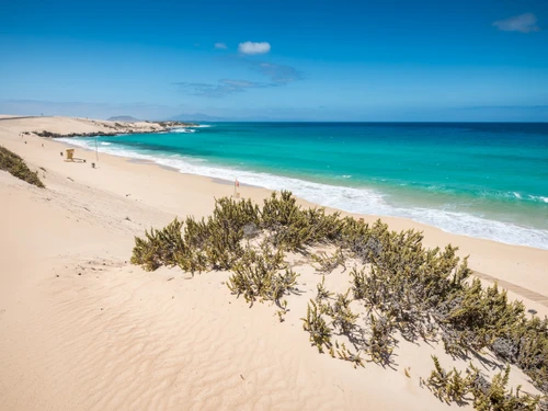 Ferienwohnung Corralejo, 1 Schlafzimmer, 3 Personen - photo_1011873665370