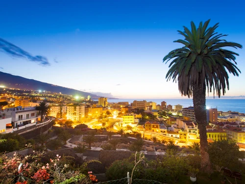 Apartment Puerto de la Cruz, 1 bedroom, 3 persons - photo_1011873741316
