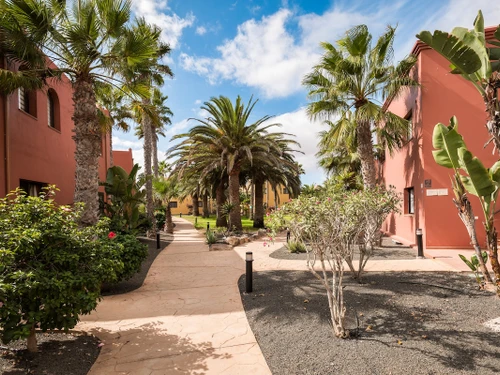 Apartment Corralejo, 1 bedroom, 4 persons - photo_1011873962322