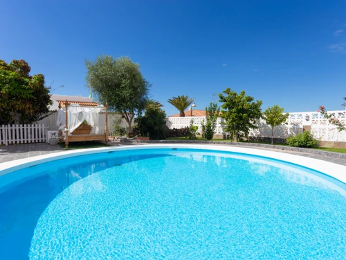 Bungalow Palm-Mar, 2 pièces, 3 personnes - photo_1011874110837