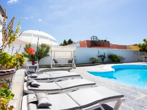 Bungalow Palm-Mar, 2 pièces, 3 personnes - photo_1011874110837