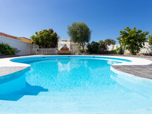 Bungalow Palm- Mar, 1 dormitorio, 3 personas - photo_1011874110837