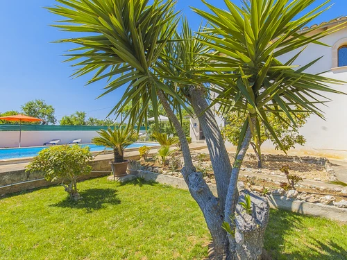 Gîte Lloseta, 5 pièces, 8 personnes - photo_1011874158212