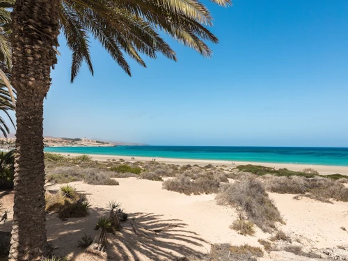 Apartment Corralejo, 2 bedrooms, 4 persons - photo_1011874198224