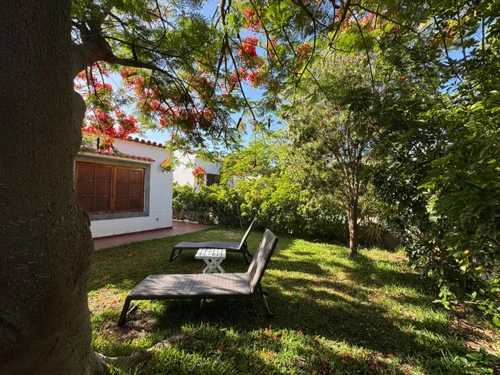 Bungalow Maspalomas, 2 Schlafzimmer, 4 Personen - photo_1011874253530