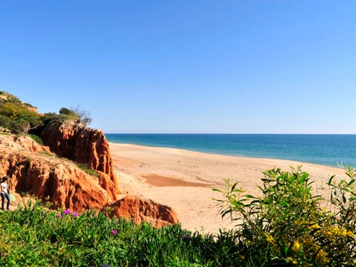 Villa Almancil, 3 Schlafzimmer, 6 Personen - photo_1011874405662