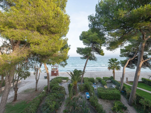 Apartment Alcúdia, 2 bedrooms, 4 persons - photo_1011874438709