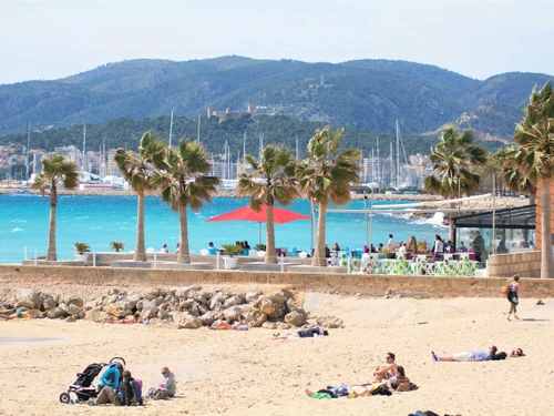 Gasthaus Palma, 3 Schlafzimmer, 6 Personen - photo_1011874449989