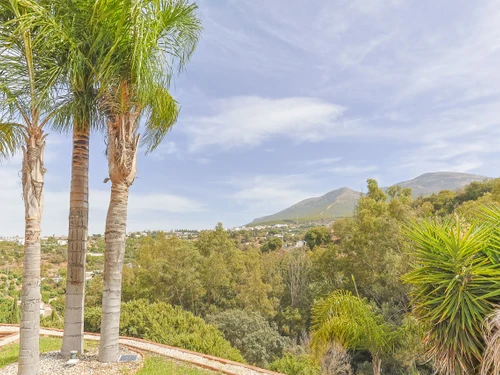 Villa Alhaurín el Grande, 5 pièces, 6 personnes - photo_1011874494816