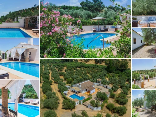 Ferienhaus Adamuz, 4 Schlafzimmer, 7 Personen - photo_1011874521346