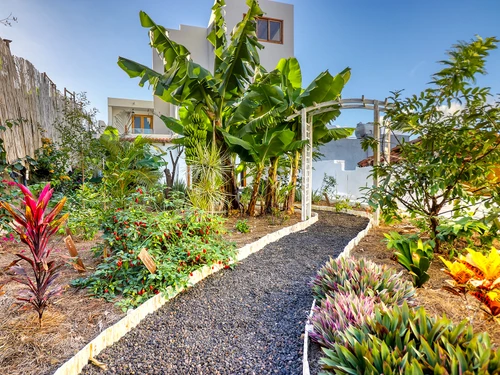 Casa Garachico, 6 dormitorios, 11 personas - photo_1011874662158