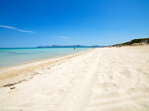 Apartment Alcúdia, 3 bedrooms, 4 persons - photo_1011874681197