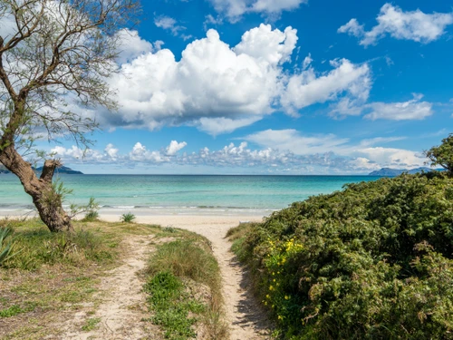 Villa Playa de muro, 4 Schlafzimmer, 8 Personen - photo_1011874707605