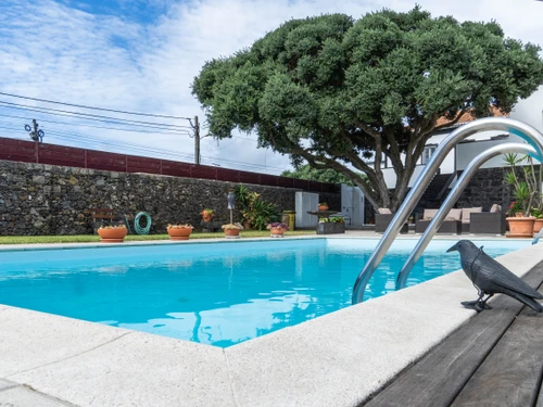 Villa Calhetas, 3 dormitorios, 6 personas - photo_1011874708048
