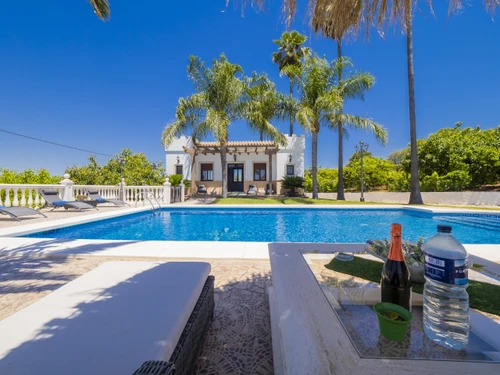 Villa Alhaurín el Grande, 6 pièces, 10 personnes - photo_1011874745447