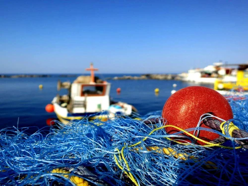 Villa Oiã, 1 Schlafzimmer, 2 Personen - photo_1011874762766