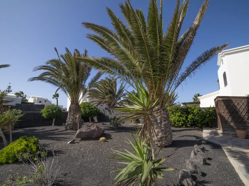 Villa Playa Blanca, 3 Schlafzimmer, 6 Personen - photo_1011874766868