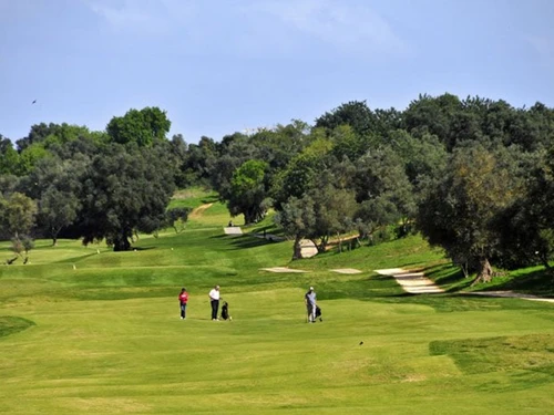 Villa Almancil, 2 Schlafzimmer, 4 Personen - photo_1011874829306