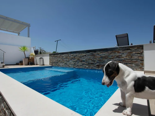 Villa Comporta, 6 Schlafzimmer, 14 Personen - photo_1011874834851