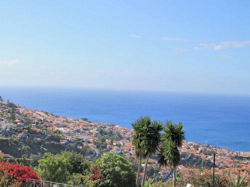 Villa Funchal, 4 Schlafzimmer, 8 Personen - photo_1011874866295