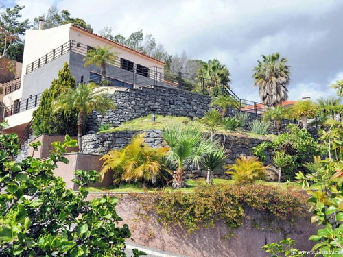 Villa Funchal, 6 pièces, 12 personnes - photo_1011874868451