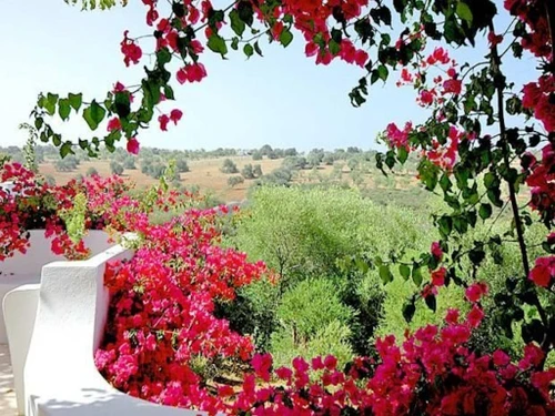 Villa Albufeira, 4 Schlafzimmer, 8 Personen - photo_1011874888161