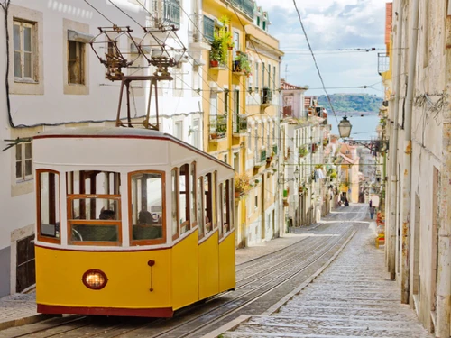 Villa Herdade da Aroeira, 4 Schlafzimmer, 8 Personen - photo_1011874900874