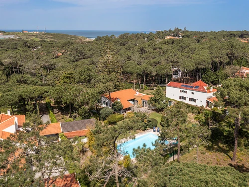 Villa Sintra, 6 pièces, 10 personnes - photo_1011874910348