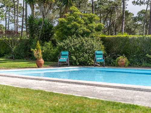 Villa Sintra, 6 pièces, 10 personnes - photo_1011874910348