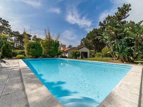 Villa Sintra, 6 pièces, 10 personnes - photo_1011874910348