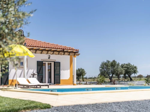 Villa Ferreira do Alentejo, 5 Schlafzimmer, 12 Personen - photo_1011874948317