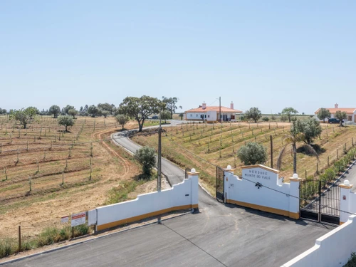 Villa Ferreira do Alentejo, 5 Schlafzimmer, 12 Personen - photo_1011874948317