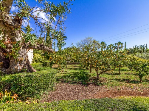 Villa Pollença, 3 Schlafzimmer, 6 Personen - photo_1011874969046