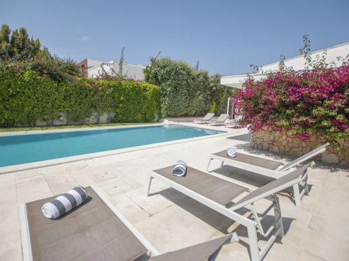 Villa Setúbal, 4 bedrooms, 8 persons - photo_1011875005455