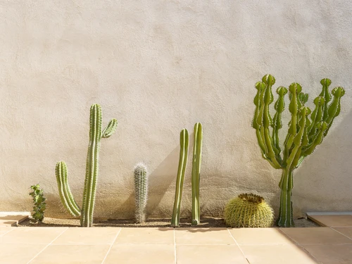 Villa Tarragona, 4 bedrooms, 8 persons - photo_1011875042851