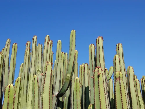 Villa Mogán, 4 pièces, 6 personnes - photo_1011875047762