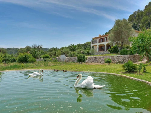 Villa Pollença, 4 Schlafzimmer, 10 Personen - photo_1011875061917