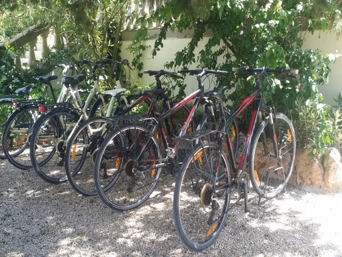 Ferienhaus Llucmajor, 6 Schlafzimmer, 12 Personen - photo_1011875117615