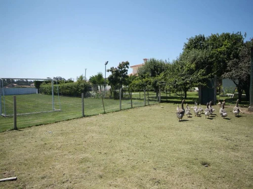 Villa Esposende, 5 Schlafzimmer, 12 Personen - photo_1011875117766