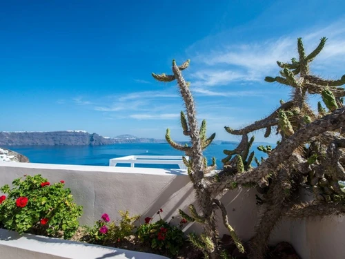Villa Oiã, 2 pièces, 3 personnes - photo_1011875137886