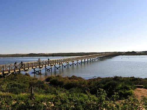 Villa Caminha, 5 pièces, 10 personnes - photo_1011875147197