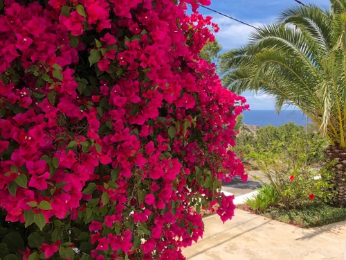 Villa Sant Josep de Sa Talaia / San Jose, 5 pièces, 10 personnes - photo_1011875183052