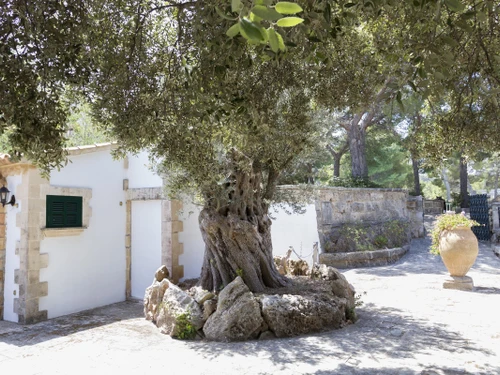 Villa Cala Sant Vicenç, 7 pièces, 12 personnes - photo_1011875191041