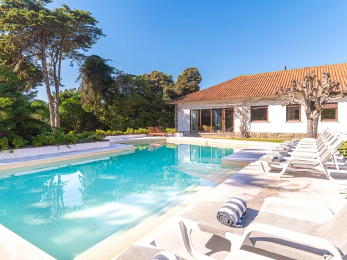 Villa Sintra, 8 pièces, 16 personnes - photo_1011875202027