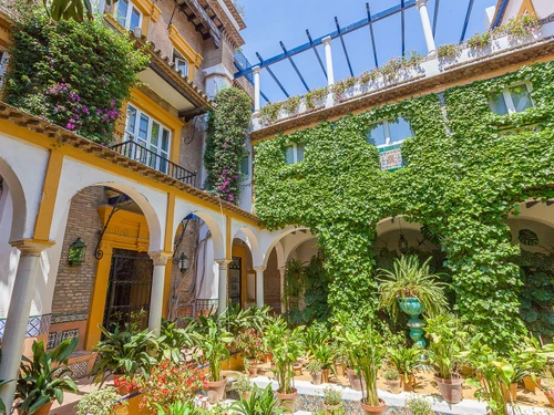 Villa sevilla, 10 pièces, 18 personnes - photo_1011875221092