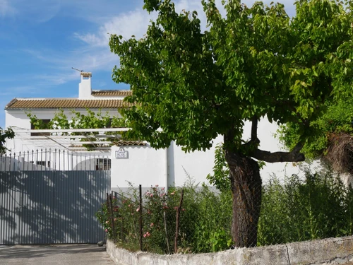 Gite Buenavista, Moclín, 3 bedrooms, 6 persons - photo_1011875372256