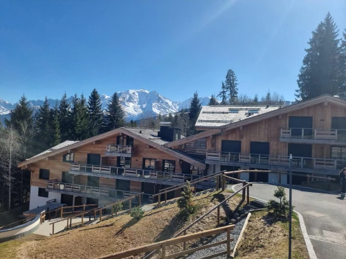 Apartamento Combloux, 1 dormitorio, 4 personas - photo_1011879821904