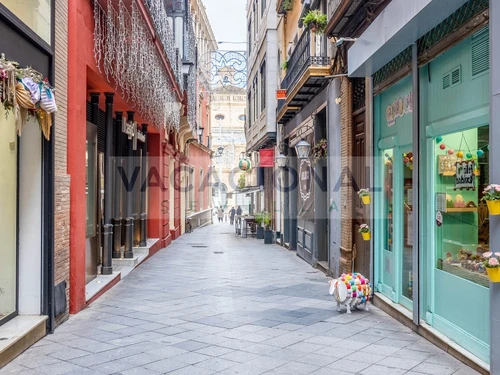 Apartment Seville, 2 bedrooms, 4 persons - photo_1011830381420