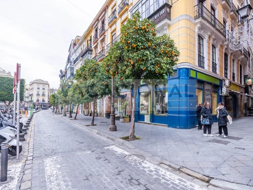 Apartment Seville, 2 bedrooms, 4 persons - photo_1011830381420