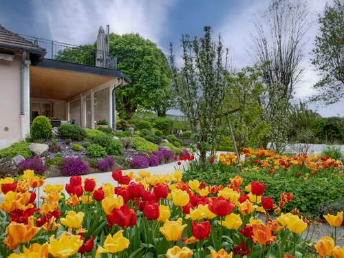 Guestroom Nuits-Saint-Georges, 4 personnes - photo_1011871867394